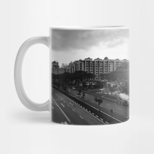 Singapore flats Mug